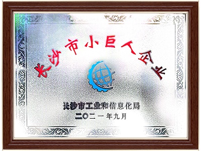 长沙市小巨人企业