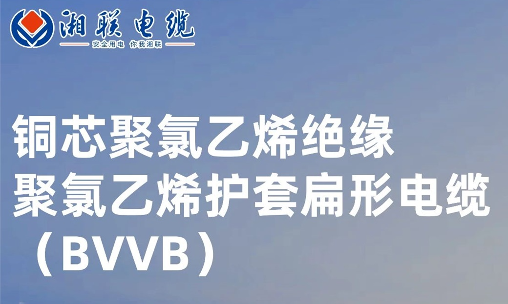 国标认证，品质保障 | 一文解析BVVB（铜芯聚氯乙烯绝缘聚氯乙烯护套扁形电缆）