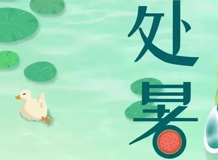 处暑 | 暑气渐消，守护不止！