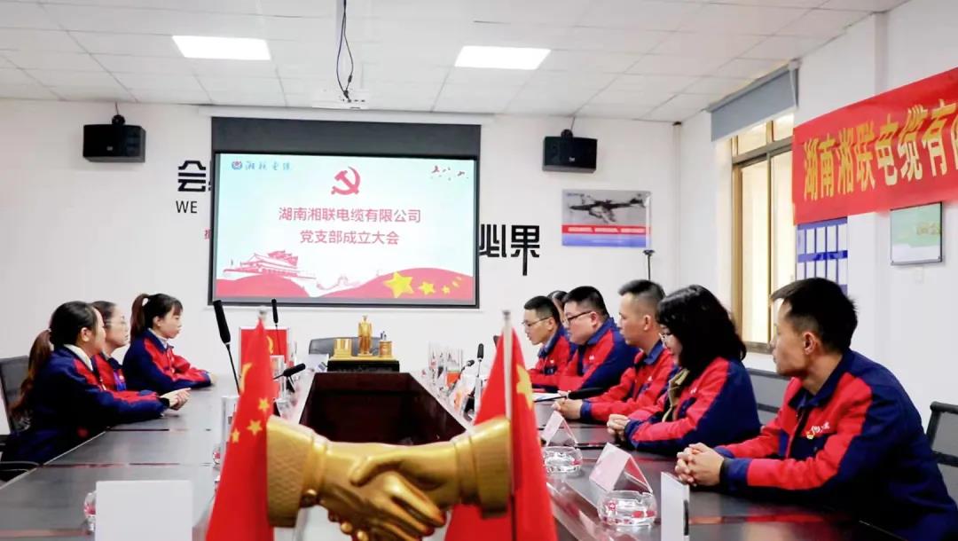 新征程 | 热烈祝贺官方168飞艇最新开奖号码：幸运飞艇开奖党支部正式成立！