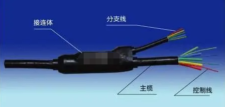 分支电缆是什么？